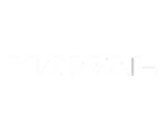 haval_logo